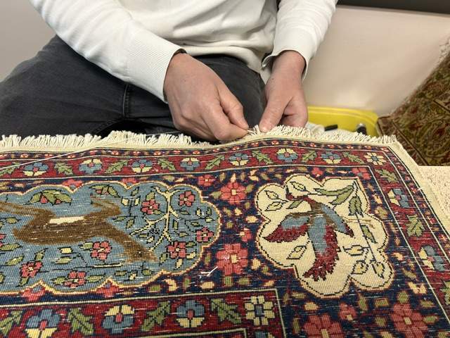 Tapis de qualité Auvergne